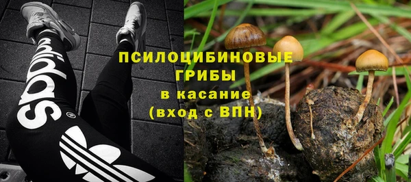 a pvp Киреевск