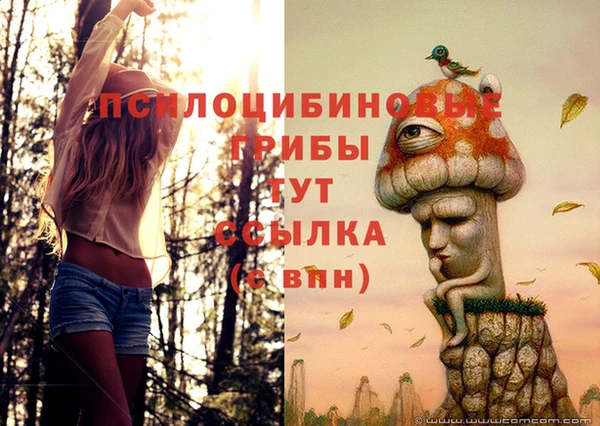 a pvp Киреевск